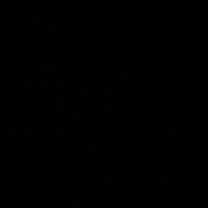 Meet your Posher, Brandobrandon